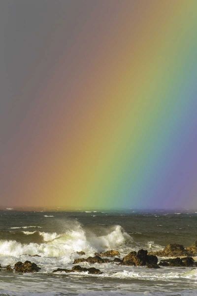 Hawaii, Maui, Hookipa Beach Rainbow and waves